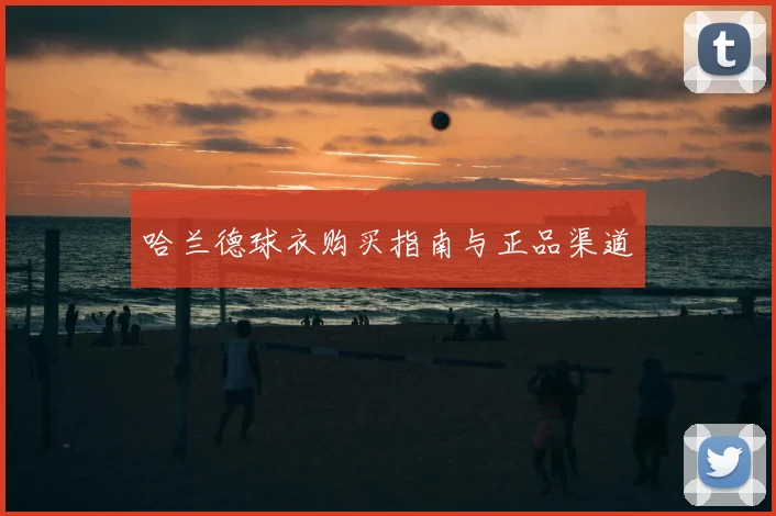 哈兰德球衣购买指南与正品渠道