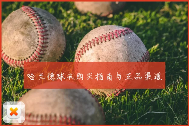 哈兰德球衣购买指南与正品渠道